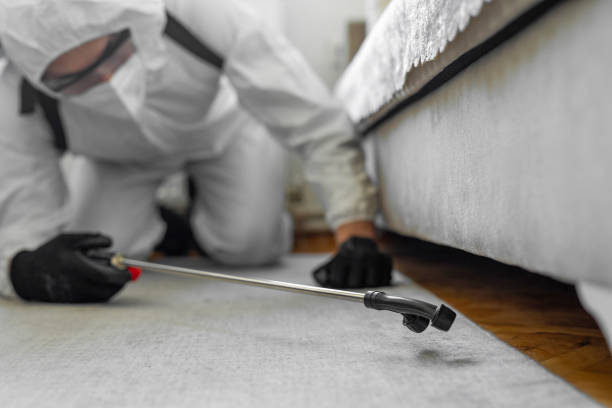 Professional Pest Control technician working in Oroville, CA