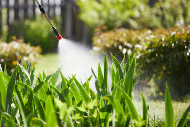 24/7 Emergency Pest Control experts in Oroville, CA
