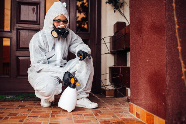 Reliable Pest Control contractor in Oroville, CA by Nex Pest Control