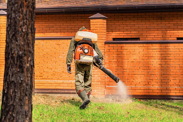 Top rated local Pest Control specialists in Oroville, CA